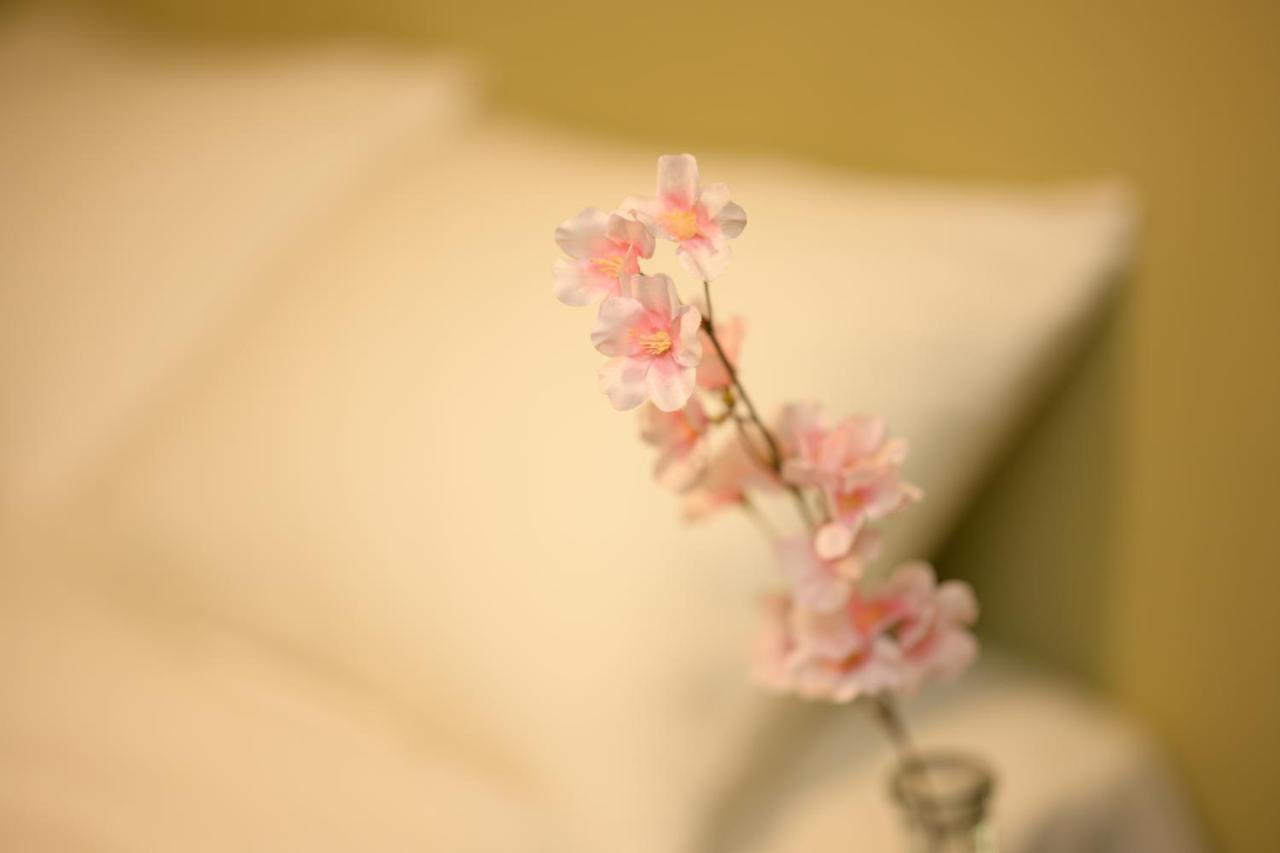 Nijo Kikyo-Tei Villa Kyoto Luaran gambar